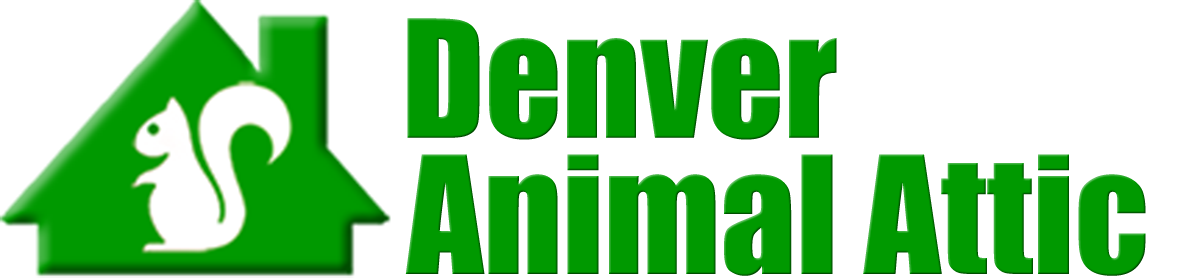 Denver Animal Attic